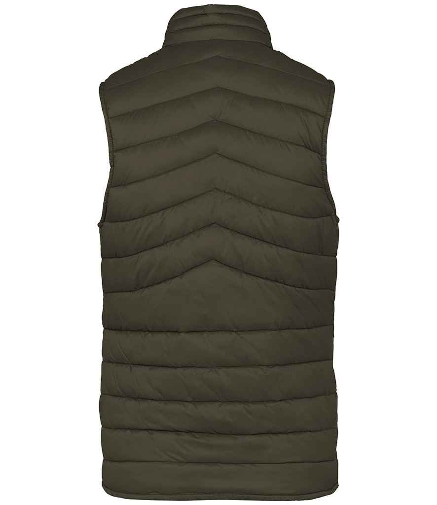 Native Spirit - Ladies Light Recycled Bodywarmer - Pierre Francis