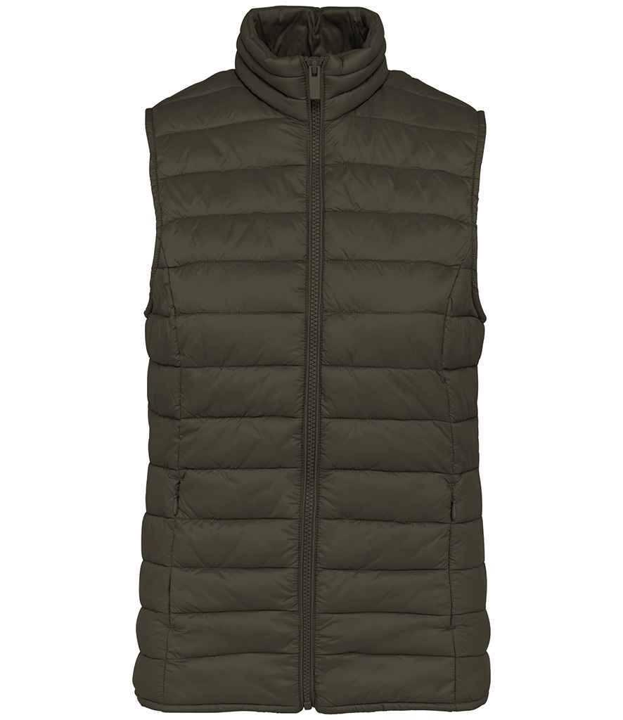 Native Spirit - Ladies Light Recycled Bodywarmer - Pierre Francis