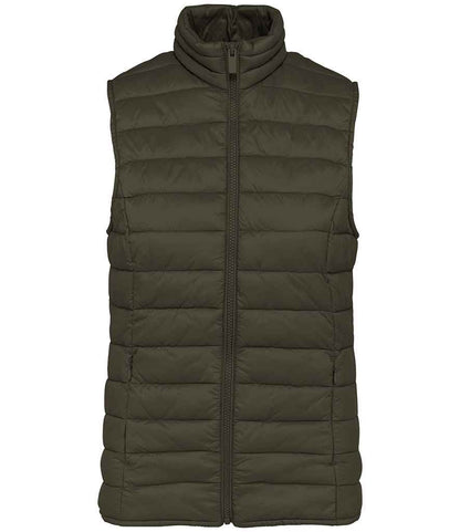 Native Spirit - Ladies Light Recycled Bodywarmer - Pierre Francis