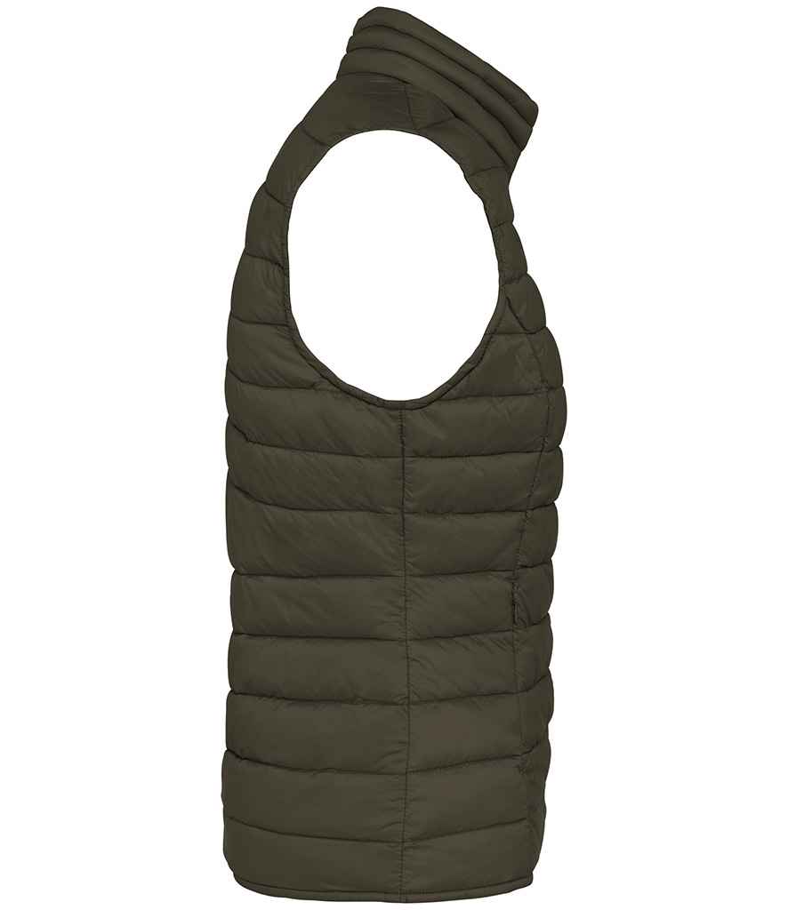 Native Spirit - Ladies Light Recycled Bodywarmer - Pierre Francis