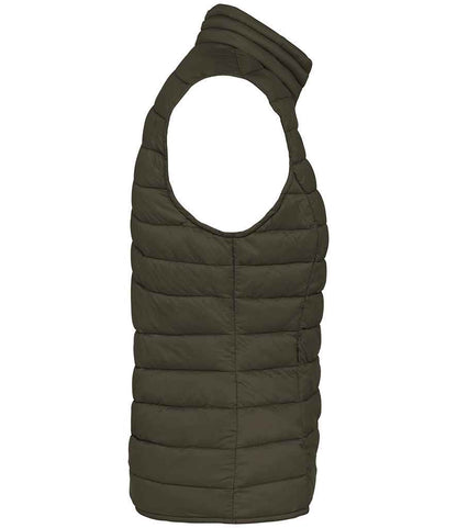 Native Spirit - Ladies Light Recycled Bodywarmer - Pierre Francis