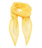 Premier - 'Colours' Chiffon Scarf - Pierre Francis