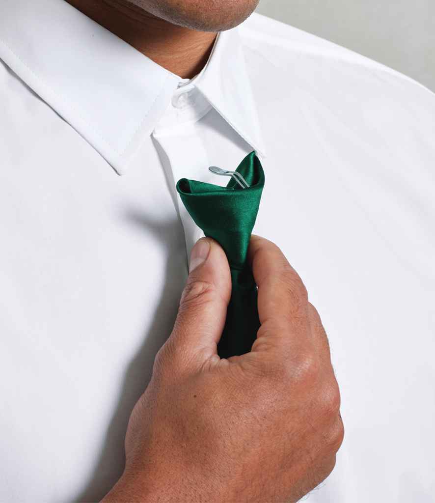 Premier - 'Colours' Satin Clip Tie - Pierre Francis