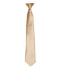 Premier - 'Colours' Satin Clip Tie - Pierre Francis