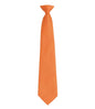 Premier - 'Colours' Fashion Clip Tie - Pierre Francis
