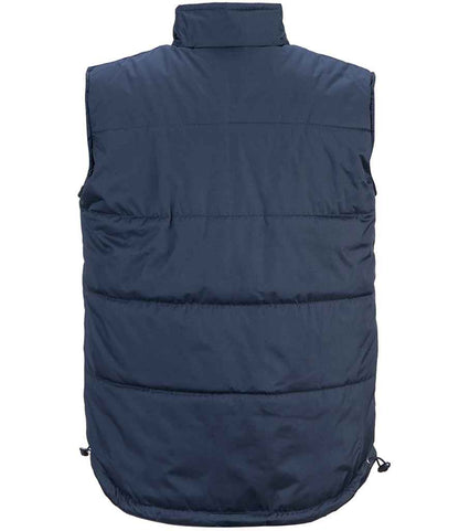 Portwest Classic Bodywarmer - Pierre Francis