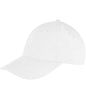 Result - Genuine Recycled Low Profile Cap - Pierre Francis