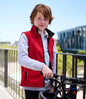 Regatta - Kids Ablaze Soft Shell Bodywarmer - Pierre Francis