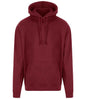 Pro RTX - Pro Hoodie - Pierre Francis