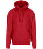 Pro RTX - Pro Hoodie - Pierre Francis