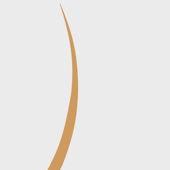 vx-va-p-17c5251dc7e6169f39af7ee3d174f079-1760172310