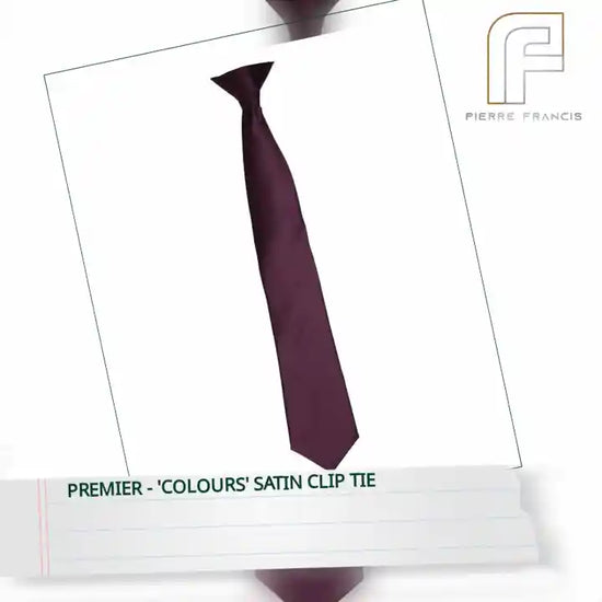 Premier - &#039;Colours&#039; Satin Clip Tie by@Outfy