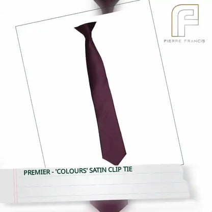 Premier - &#039;Colours&#039; Satin Clip Tie by@Outfy